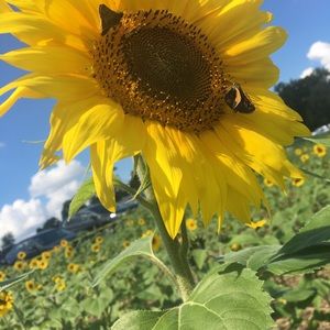 Meet your Posher, Beth